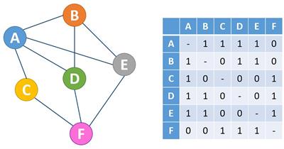 Networks of Networks: An Essay on Multi-Level Biological Organization